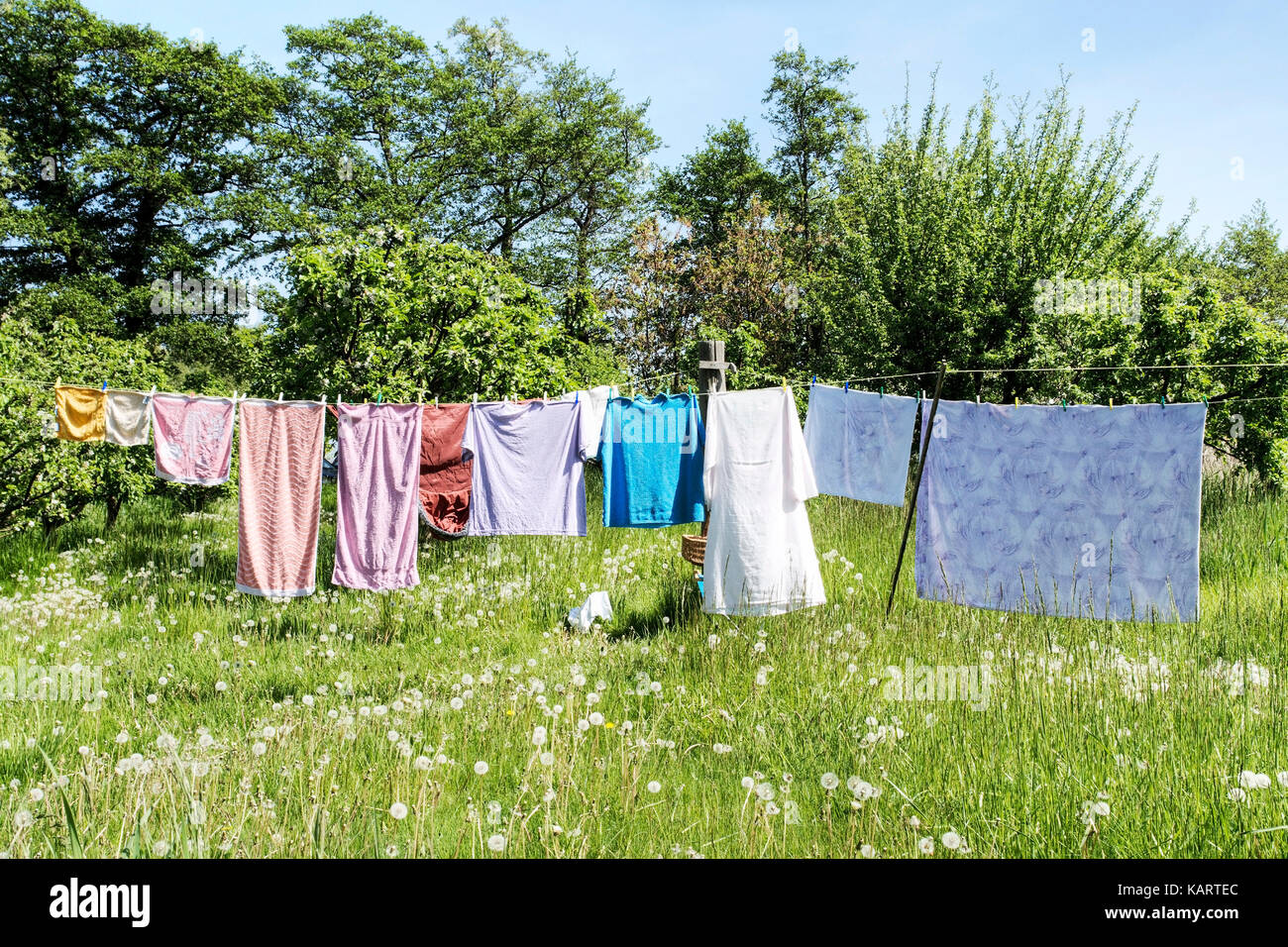 Baltic coast, laundry on the rope, Ostseekueste, Waesche auf der Leine Stock Photo