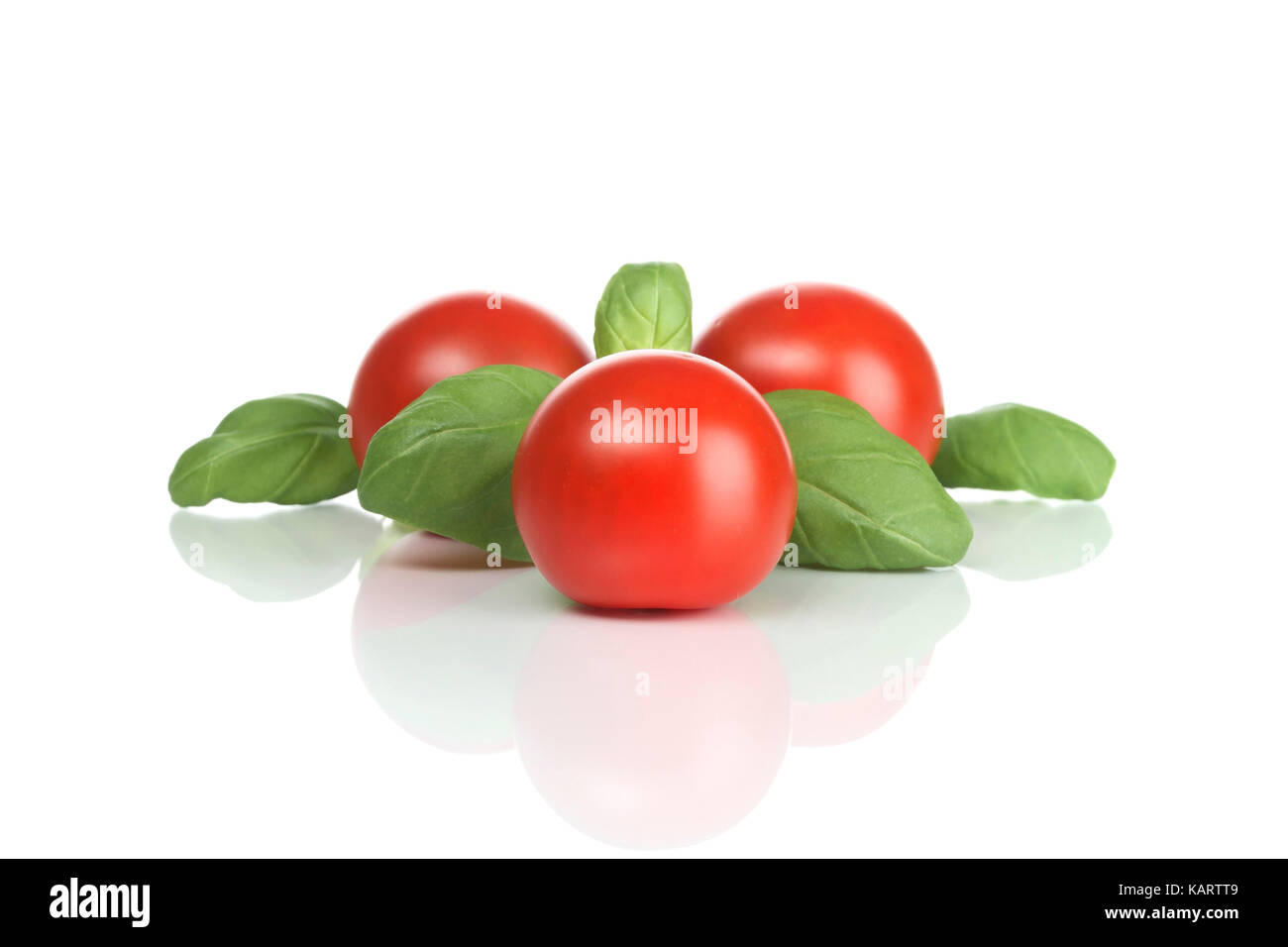 Geesthacht, basil and shrub tomatoes, Basilikum und Strauchtomaten Stock Photo