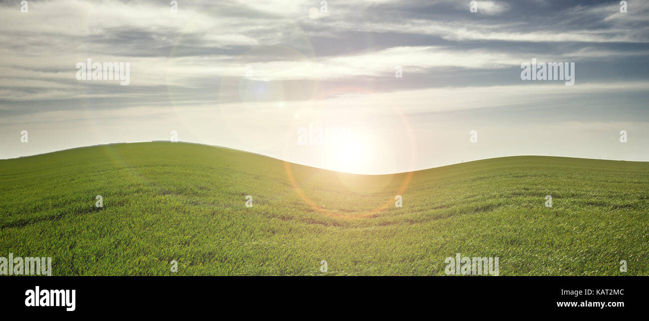 Green field, blue sky at the sunset Stock Photo - Alamy