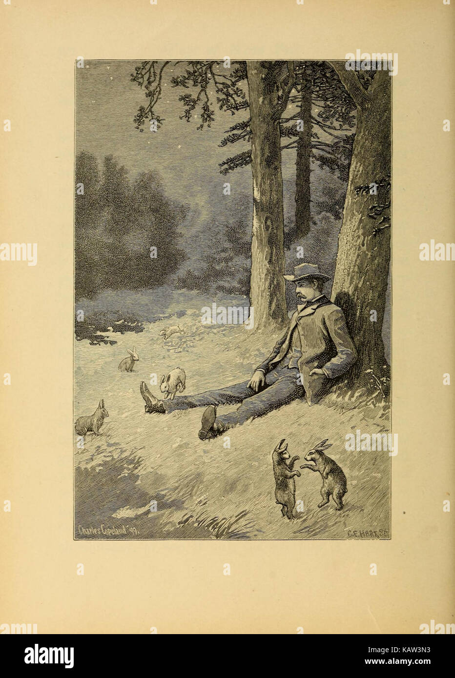 Ways of wood folk (Plate 3) (7249124464 Stock Photo Alamy