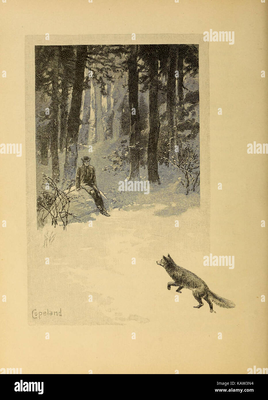 Ways of wood folk (Plate 2) (7249123084 Stock Photo Alamy