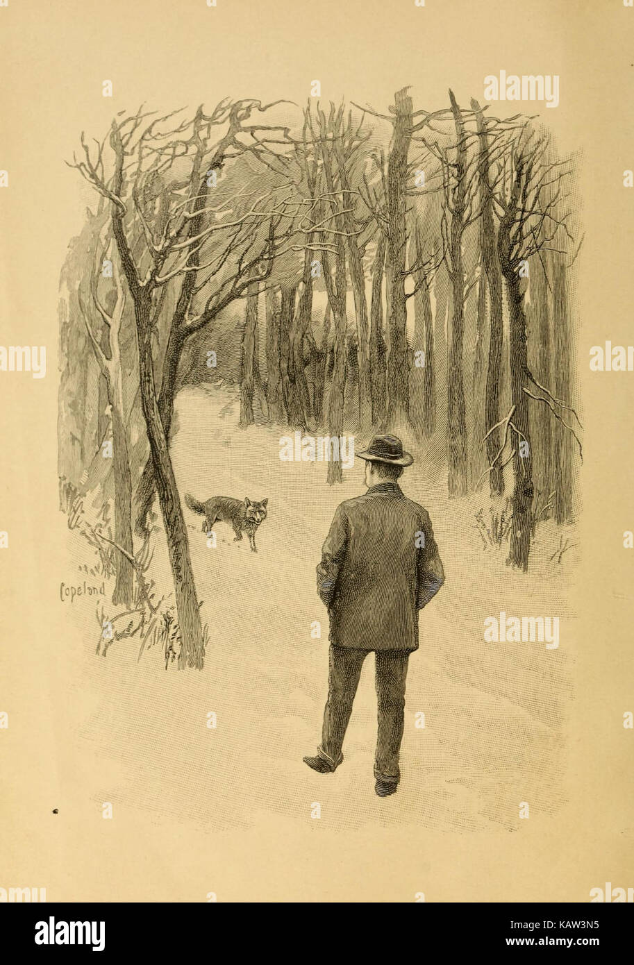 Ways of wood folk (Plate 1) (7249121000 Stock Photo Alamy