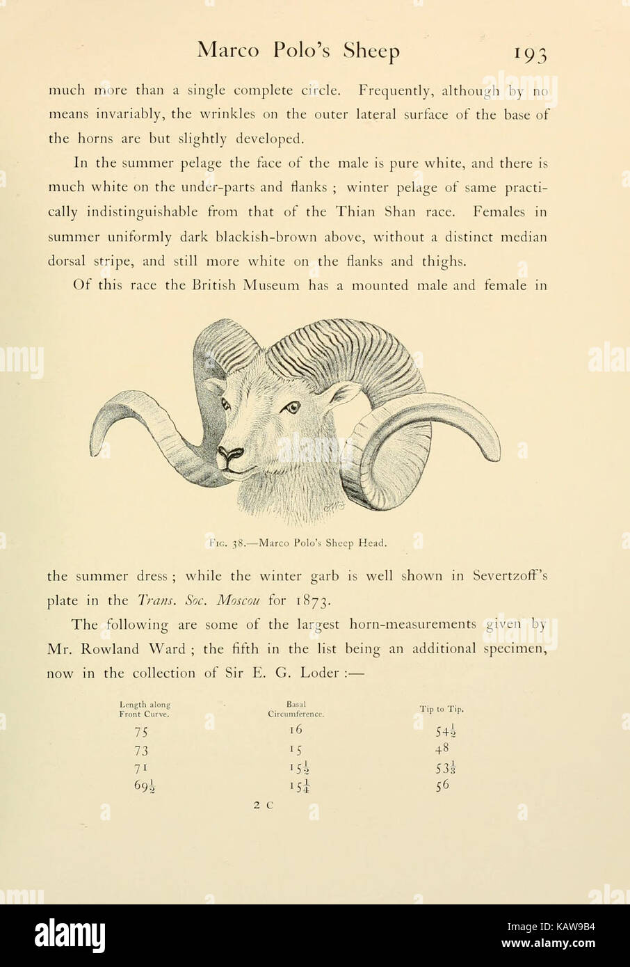 Wild oxen, sheep and goats of all lands, living and extinct (Page 193 ...