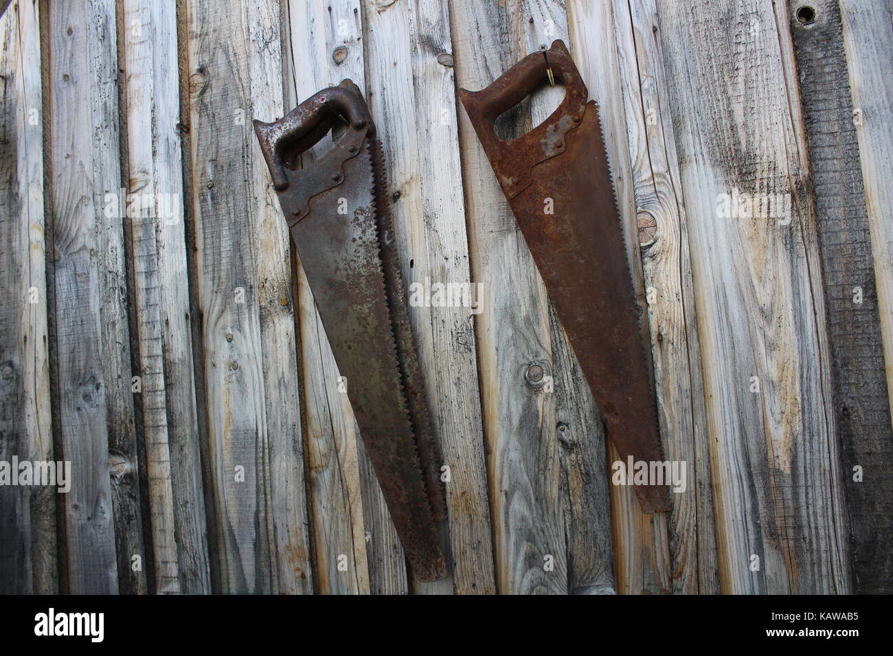 Two old rusty saws hanging on the wall of a wooden house. Stock Photo