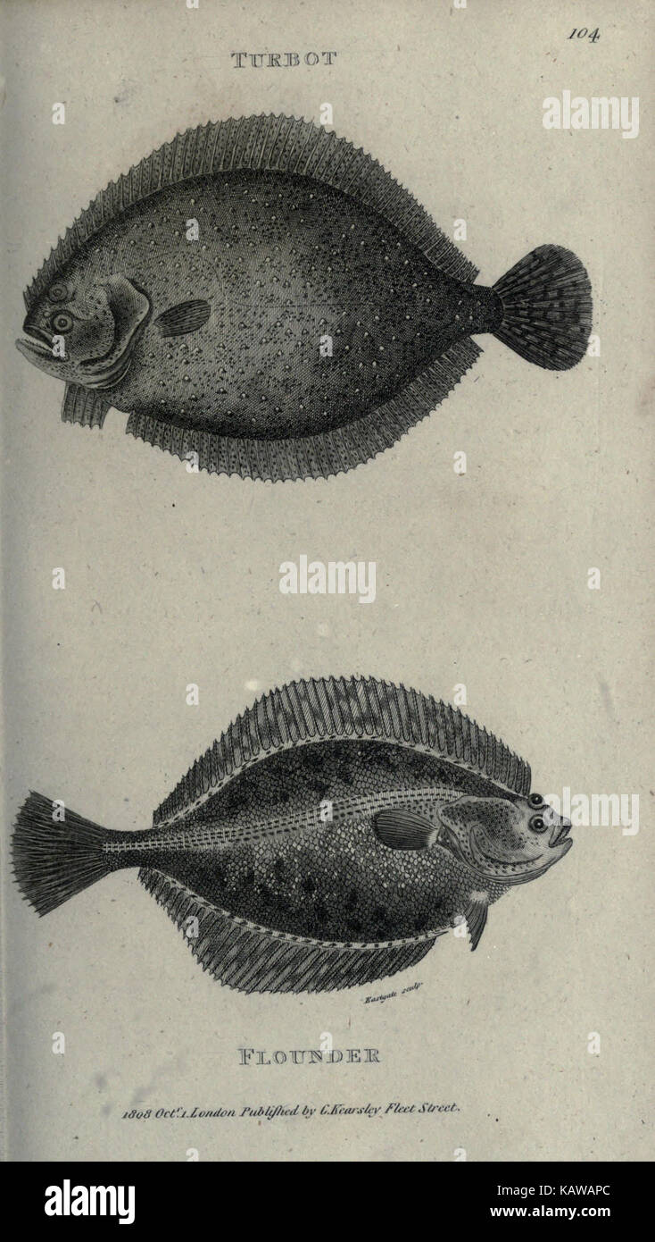 These zoological lectures, delivered at the Royal Institution, offer ...