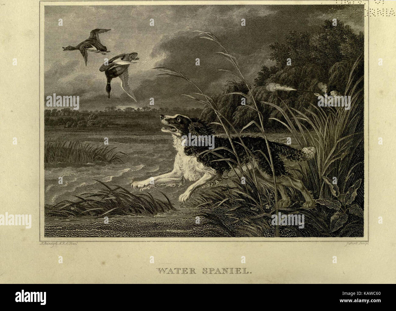 Classic repository hi-res stock photography and images - Alamy