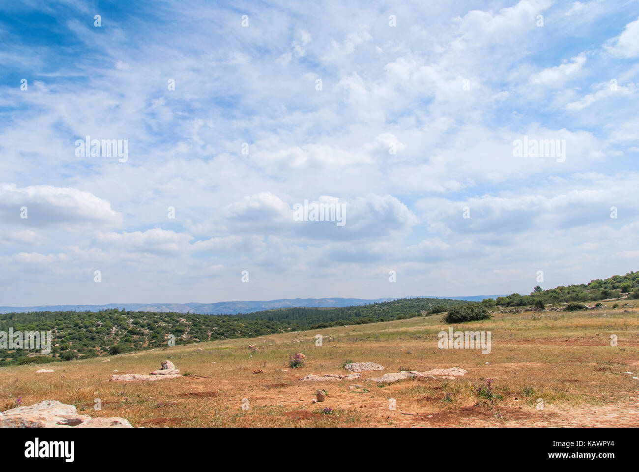 View on biblical landscape, Judean Hills near Beit Shemesh. Israel Stock Photo