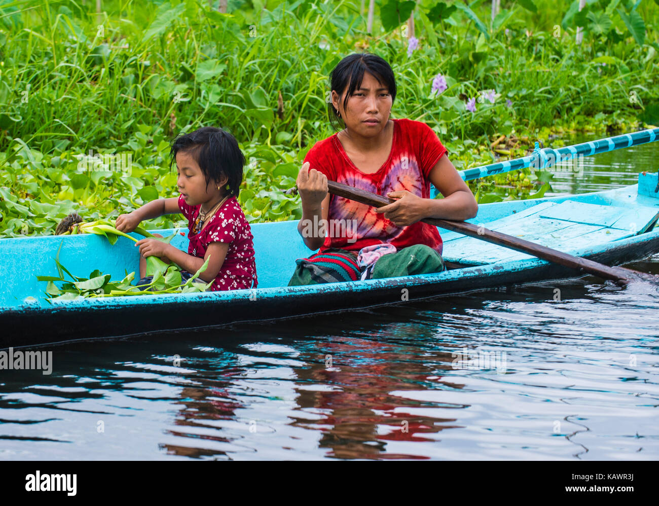 Intha people working on there floating garden in Inle lake Myanmar ...
