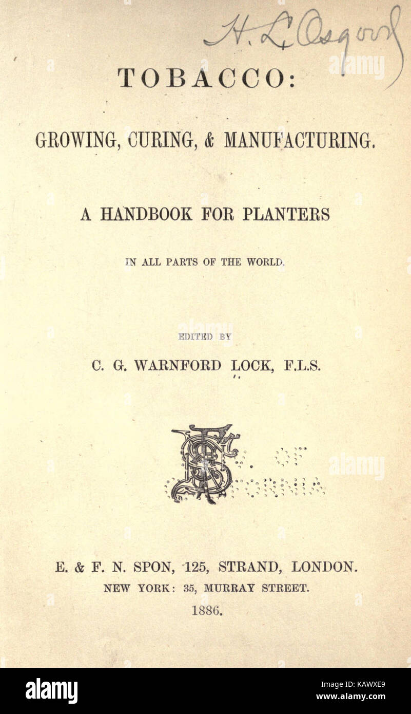 Tobacco growing, curing, and manufacturing BHL19290702 Stock Photo Alamy