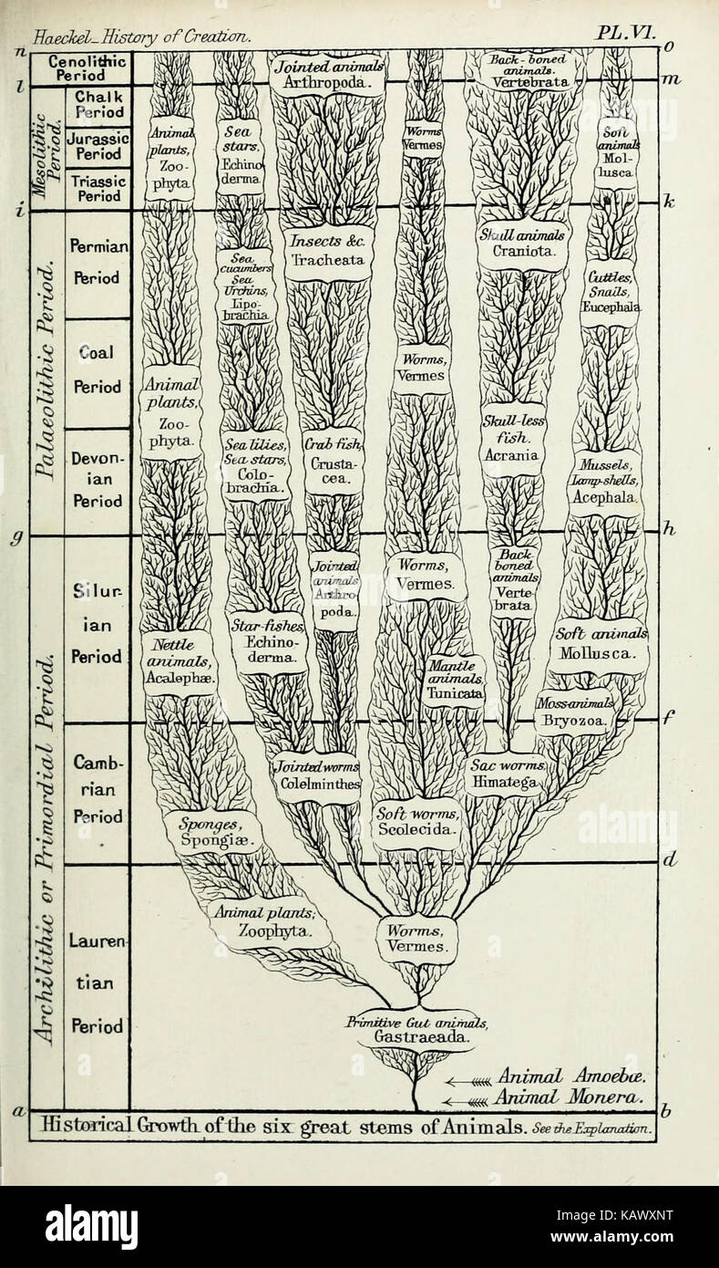 The history of creation or the development of the earth and its