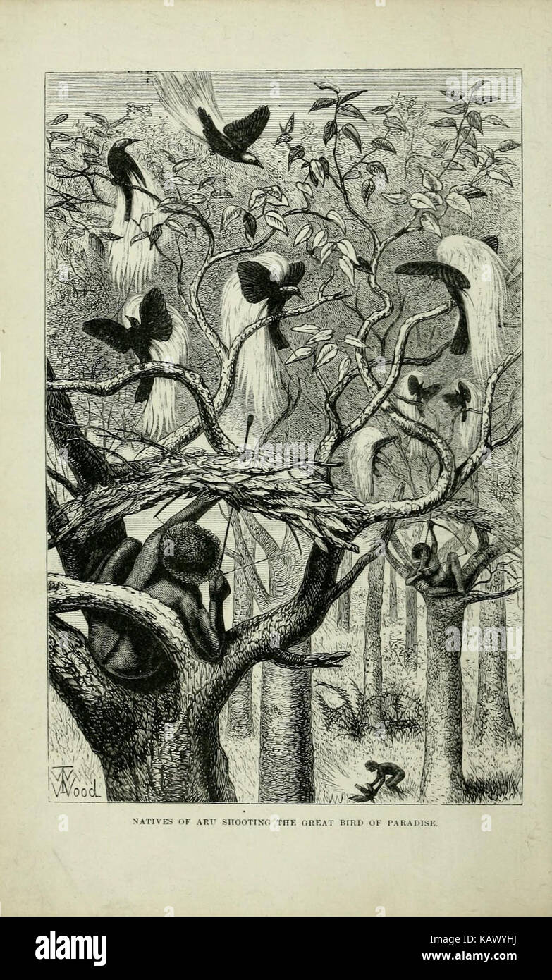 Flora and fauna of the southeast region hi-res stock photography and ...