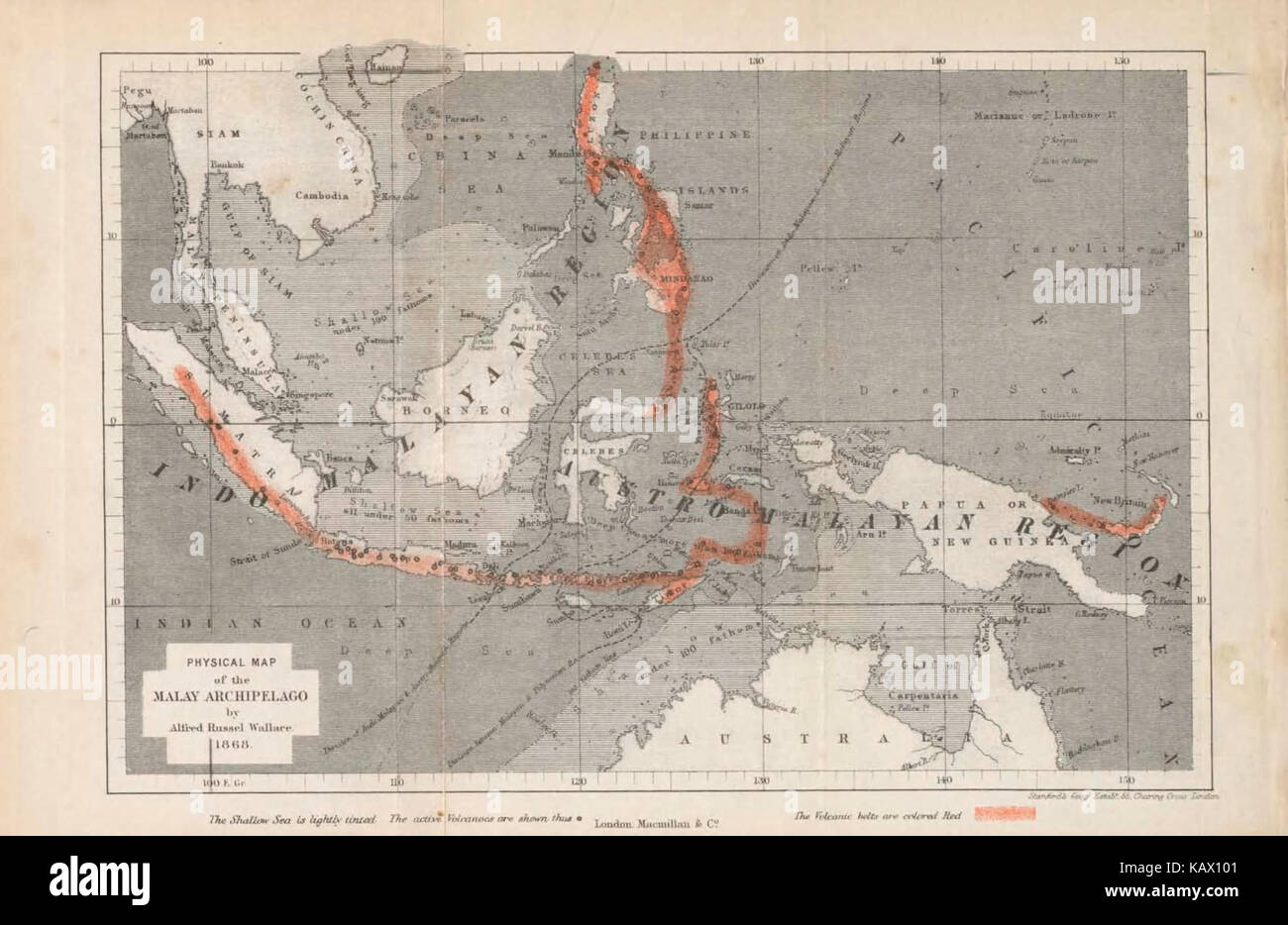 The Malay Archipelago, the land of the orang utan and the bird of