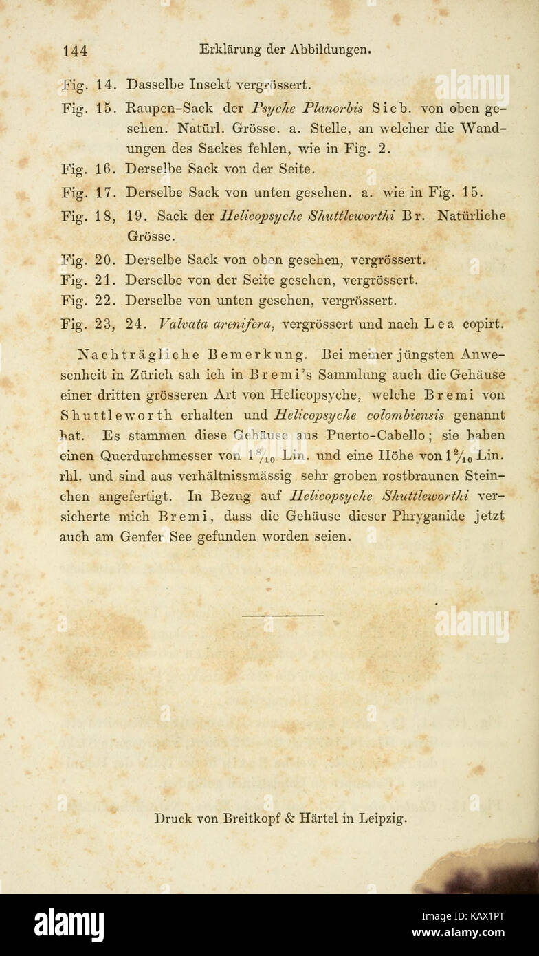 True parthenogenesis in butterflies and bees, as discussed on page 144 ...