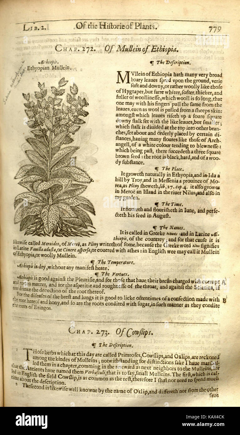 Page779