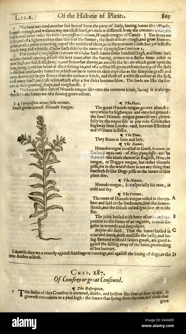 Page805