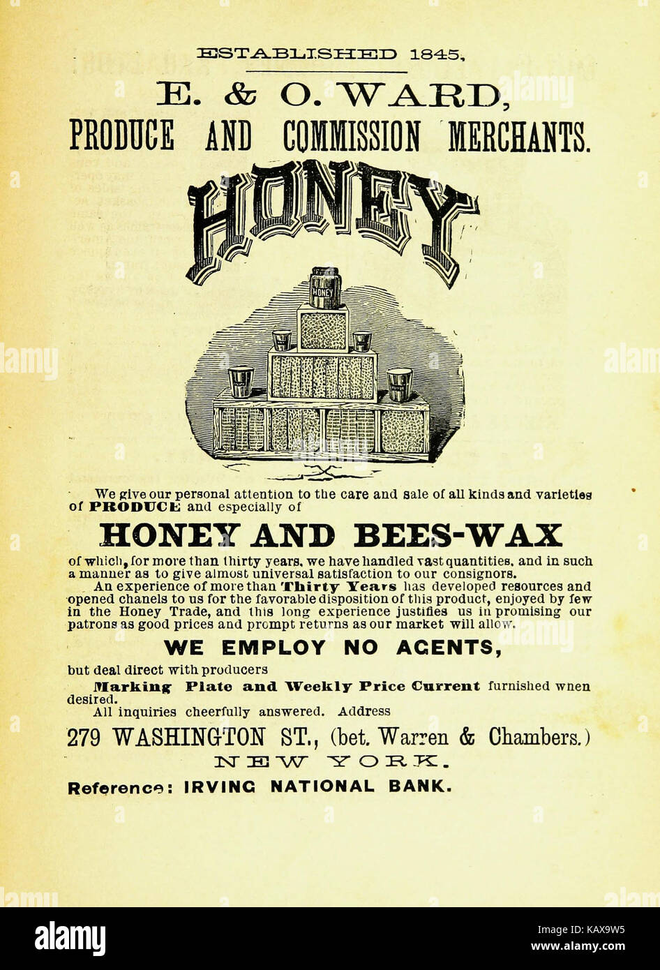 This book, titled 'The New Bee Keepers' Textbook', provides comprehensive guidance on beekeeping practices, techniques, and management for both new and experienced apiarists. Stock Photo