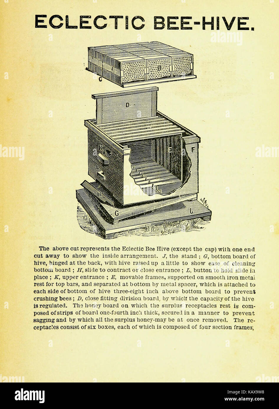 *The New Beekeepers' Textbook* offers comprehensive guidance on ...