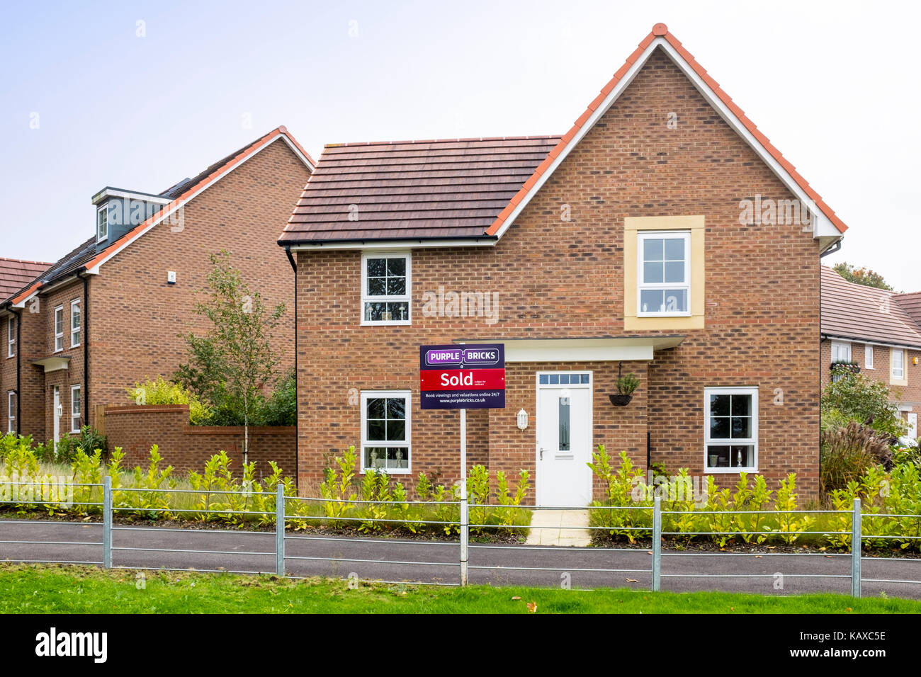 Purplebricks logo hires stock photography and images Alamy