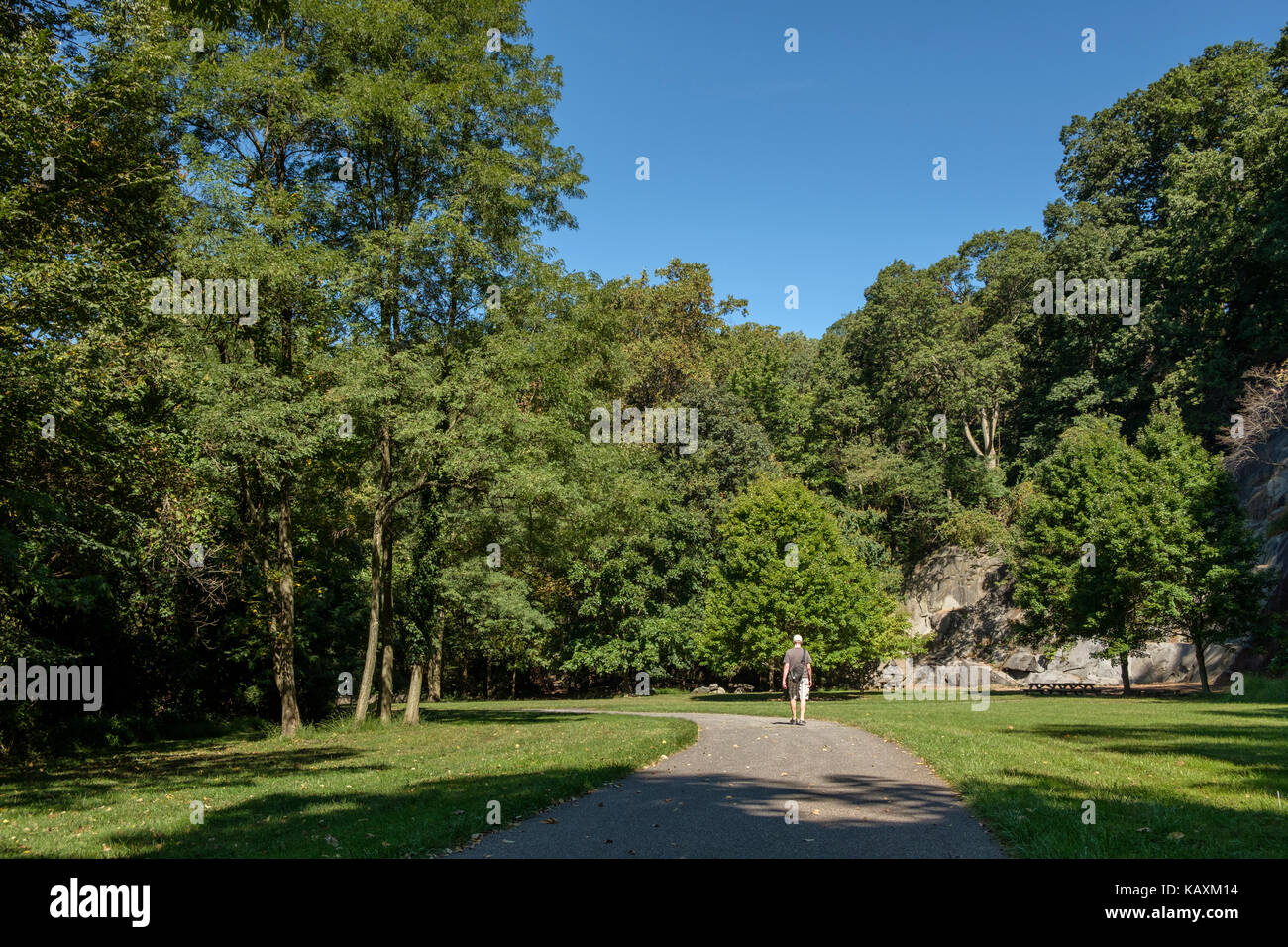 Northern Delaware Greenway Trail and Alapocas Run State Park along the Brandywine Creek, Wilmington, Delaware, USA Stock Photo