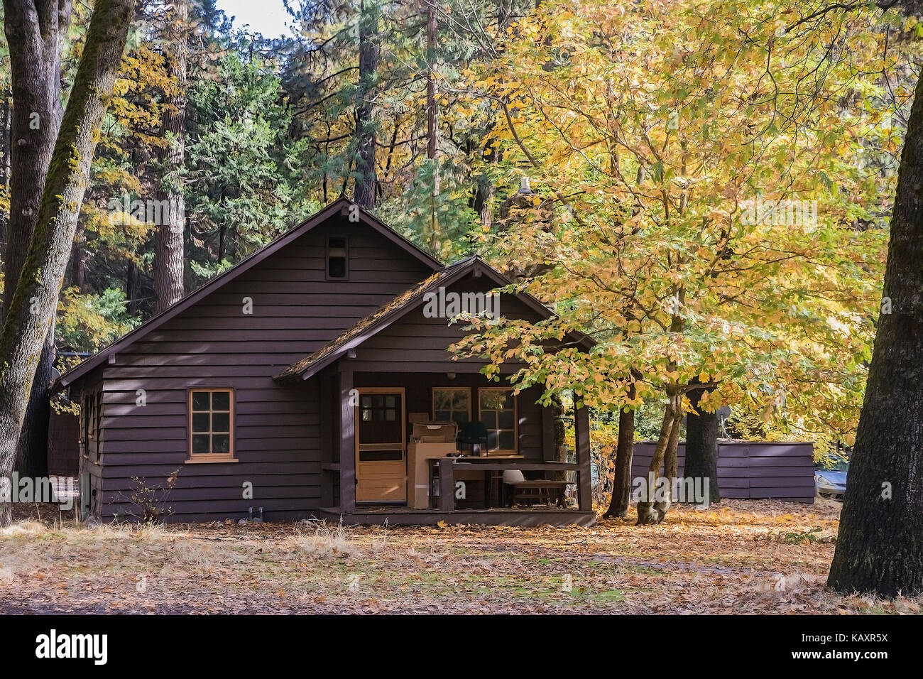Wooden Cabin In Yosemite Valley Surrounded On One Side By Big Tree
