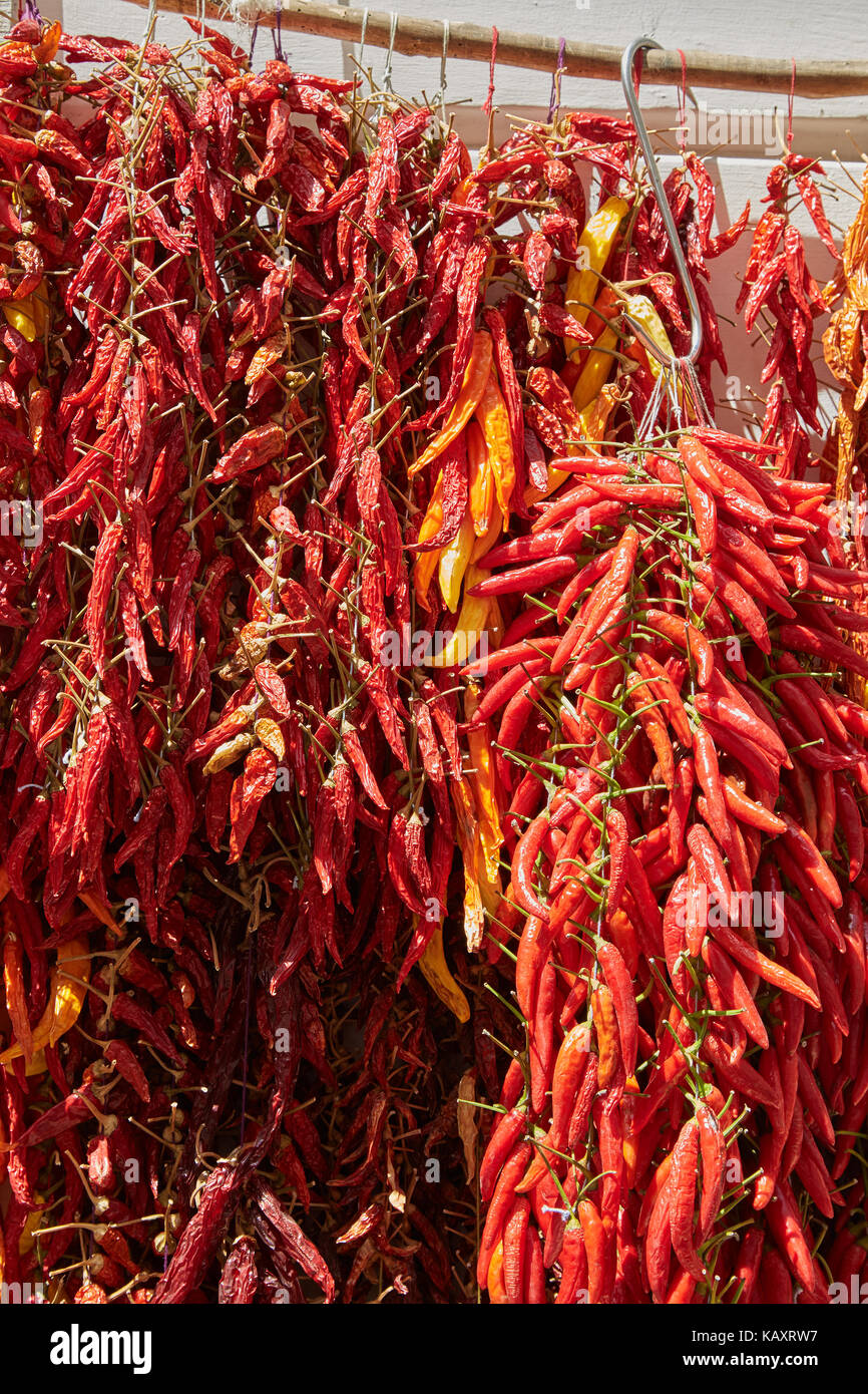 A bunch of red chili peppers on the food market in Italy Stock Photo ...