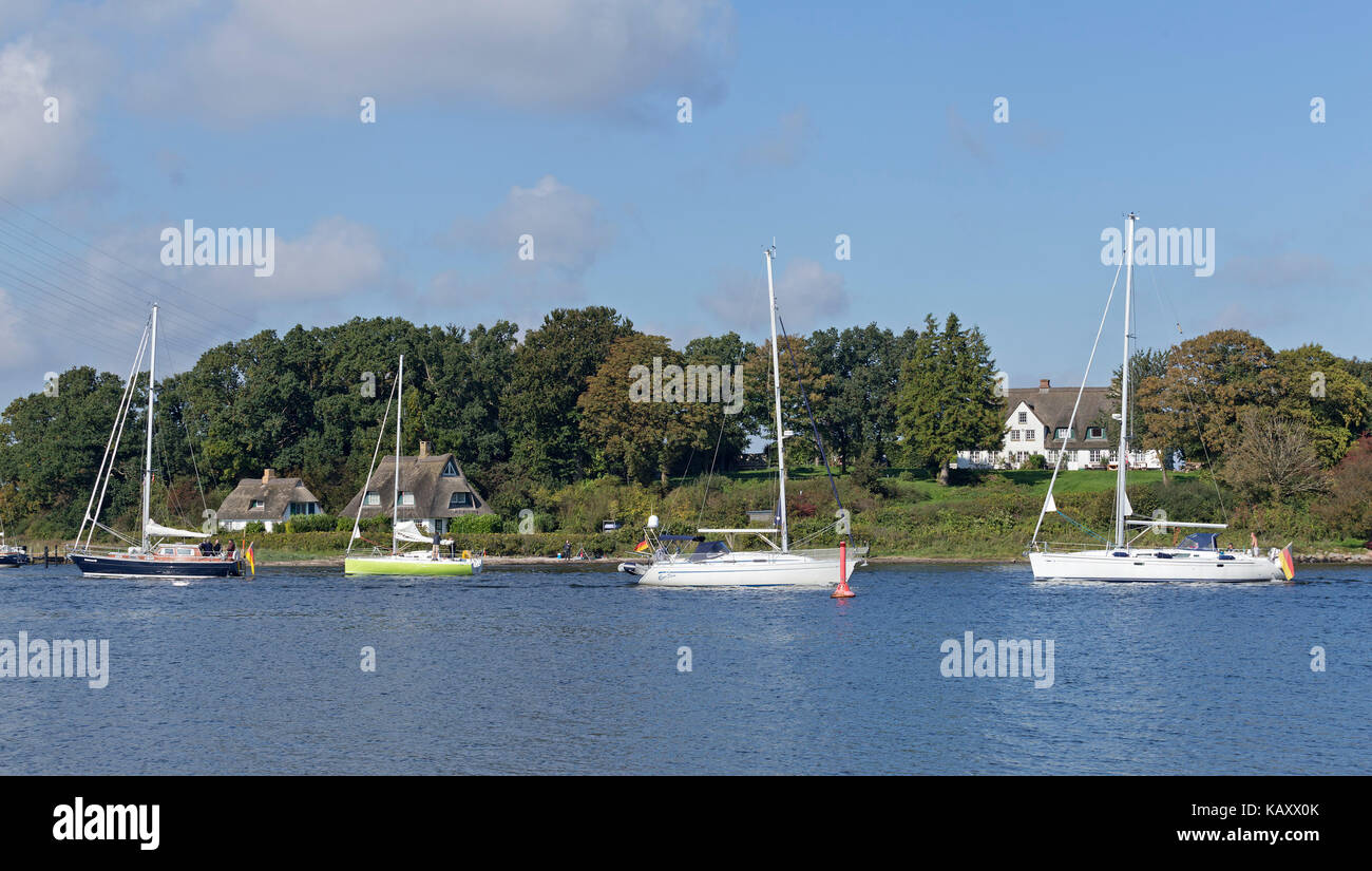 sailing boats, Rabelsund, Schlei, Schleswig-Holstein, Germany Stock Photo