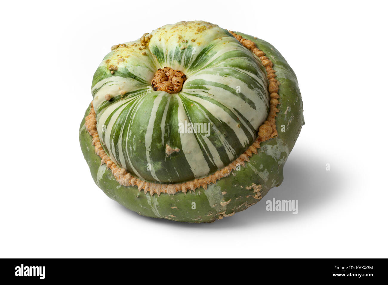 Fresh heirloom green Turban squash on white background Stock Photo