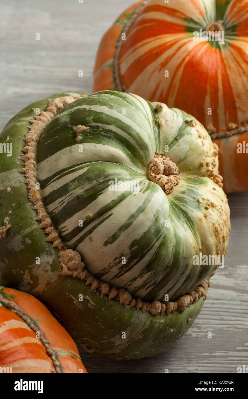 Fresh heirloom orange and green Turban squashes Stock Photo
