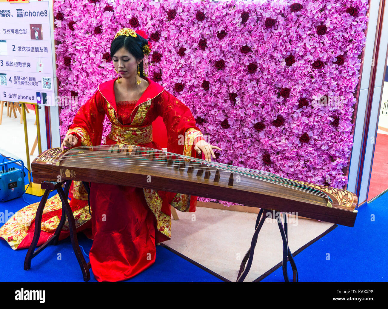 Chinese woman playing a guqin, a musical instrument also known as a Chinese  zither or qin Stock Photo - Alamy