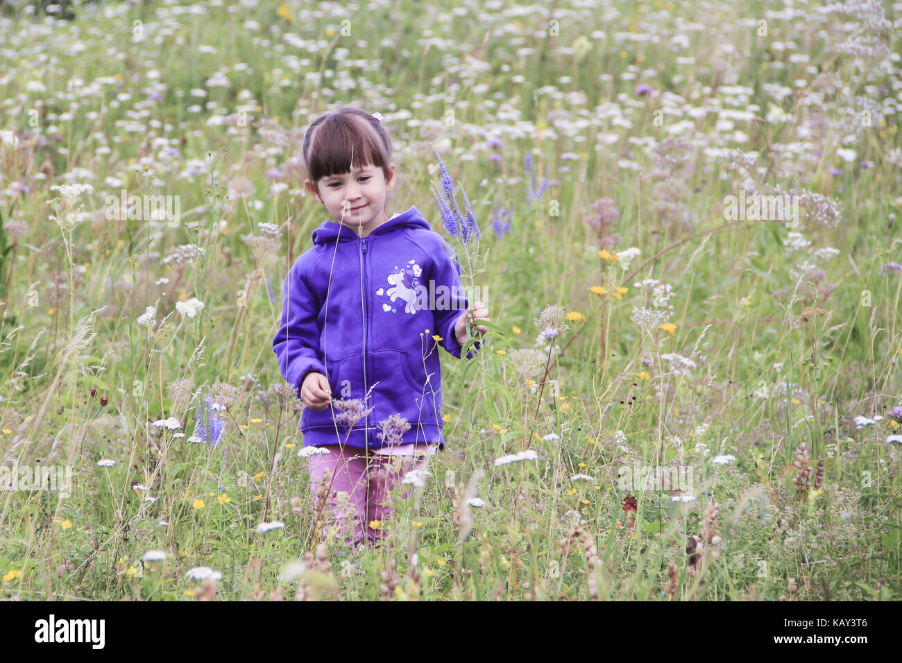 Little girl in a field among flowers Stock Photo - Alamy