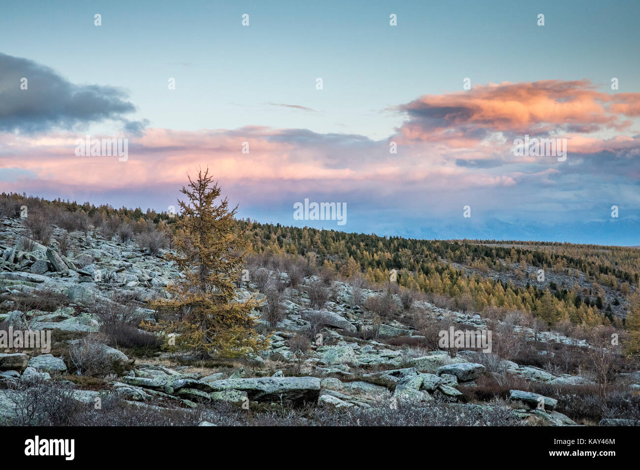 mongolian landscape in fall colours Stock Photo