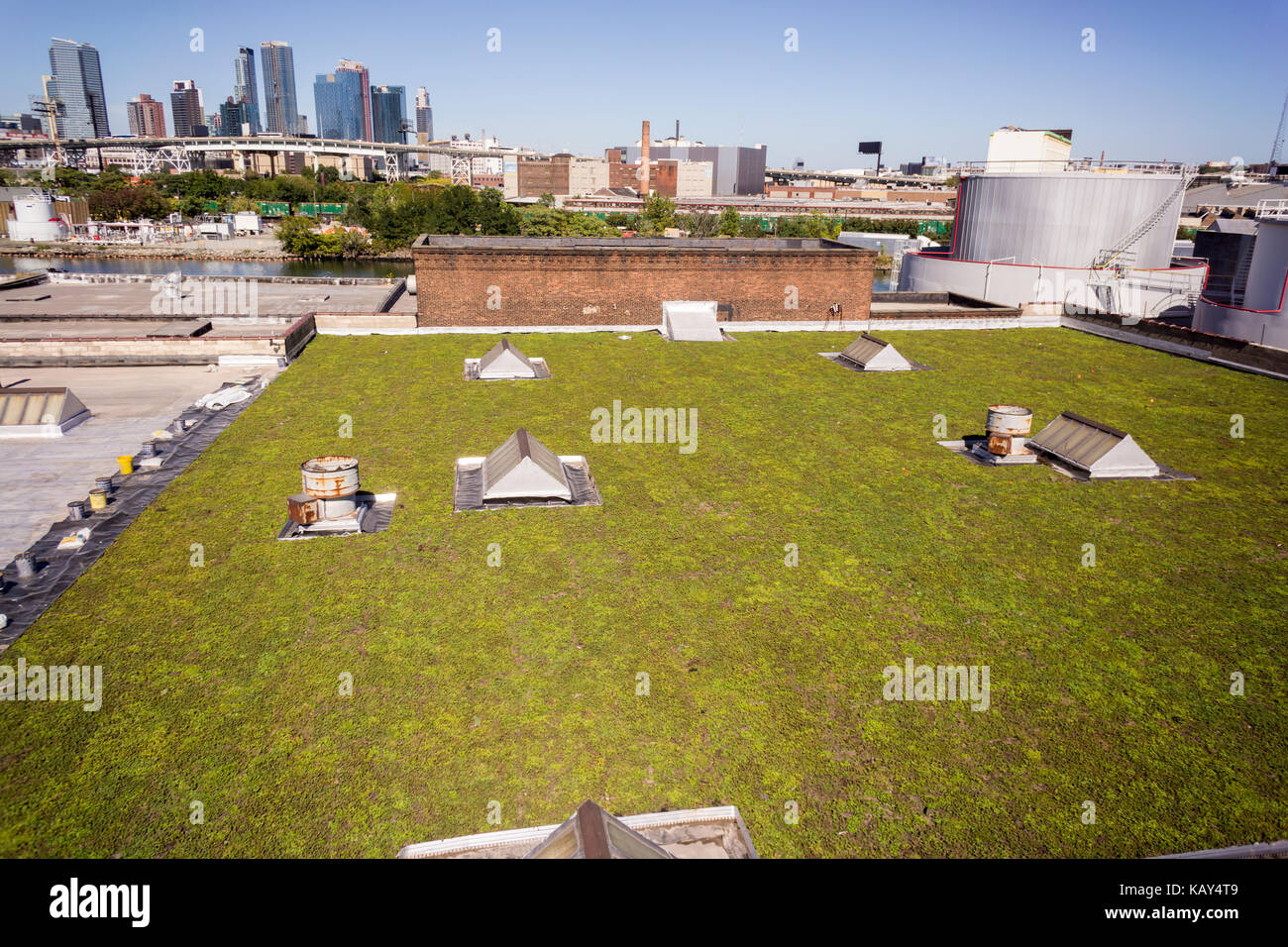 Development in Long Island City in Western Queens beyond a green roof atop a building in the Greenpoint neighborhood of Brooklyn in New York on Saturday, September 23, 2017.  (© Richard B. Levine) Stock Photo
