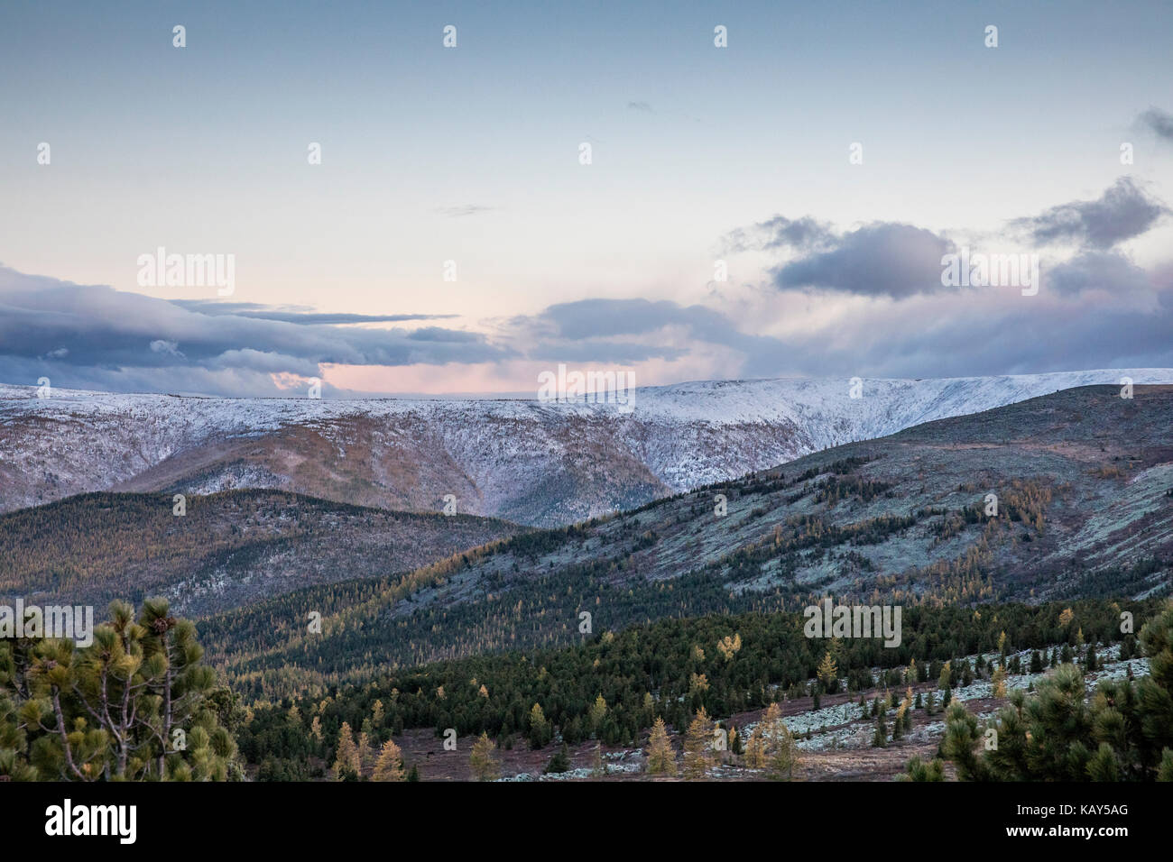 mongolian landscape in fall colours Stock Photo