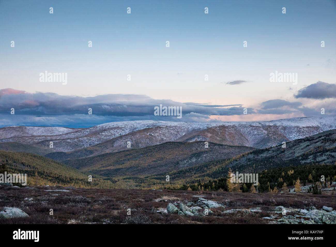 mongolian landscape in fall colours Stock Photo
