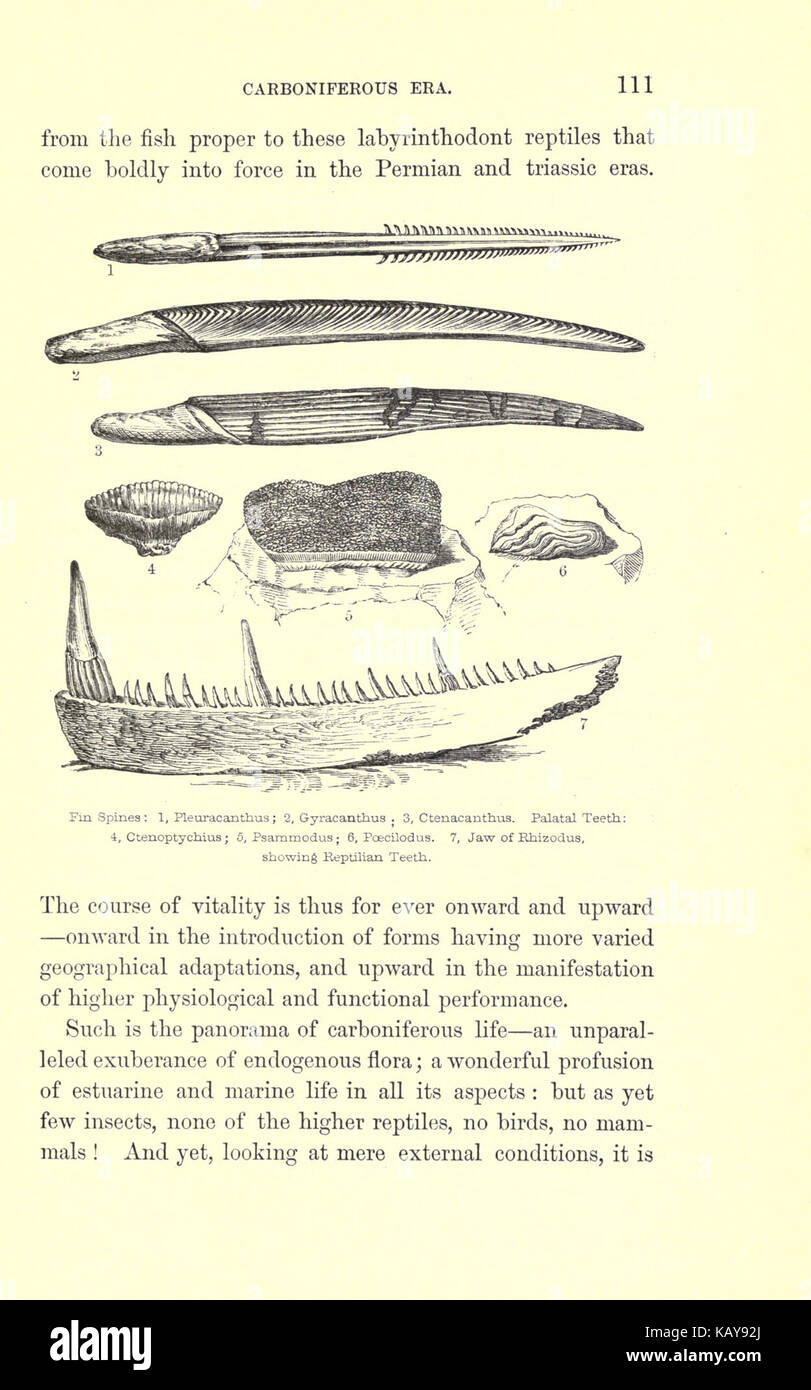This title refers to a historical work examining the evolution of the ...