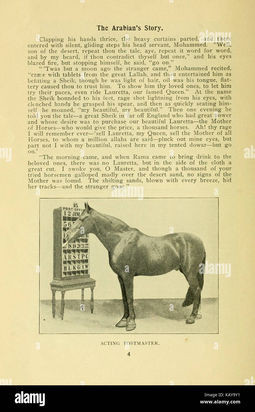 The story of Beautiful Jim Key (Page 4) BHL24214397 Stock Photo - Alamy