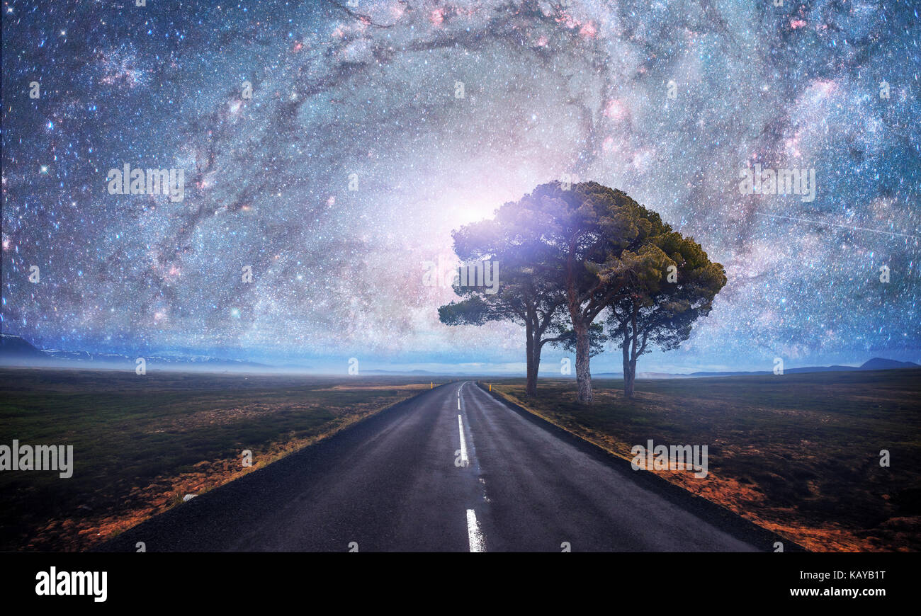 Asphalt road and lonely tree under a starry night sky and the Milky Way ...