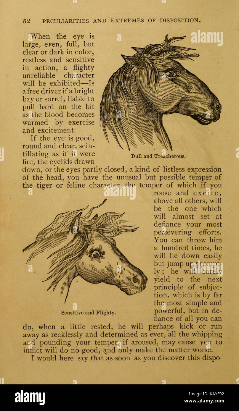 This book offers a detailed guide on the education and care of horses ...