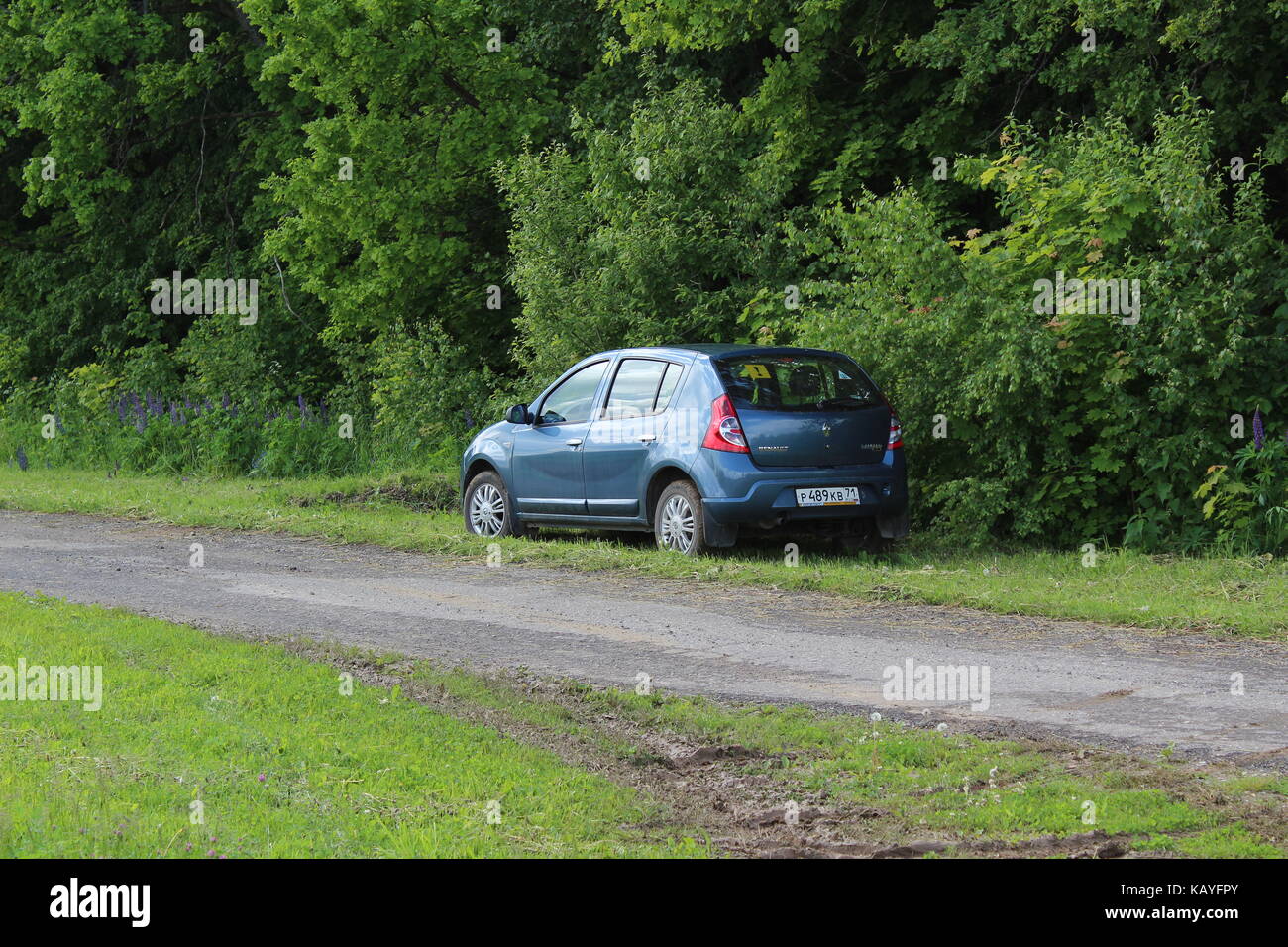 The car 'Renault Sandero' is parked at the roadside against the backdrop of a green forest. Stock Photo