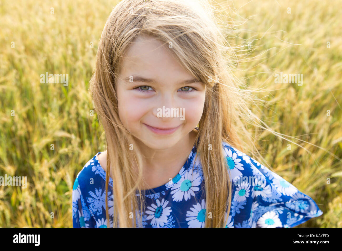 Adorable little girl playing in the wheat field on a warm summer day ...