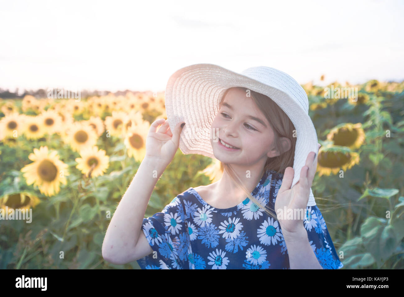 happy girl on a field of sunflowers on summer sunset Stock Photo - Alamy