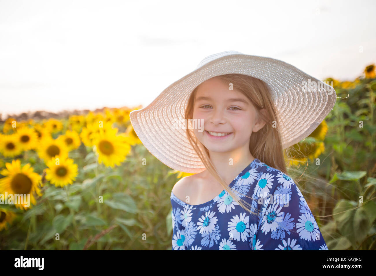 happy girl on a field of sunflowers on summer sunset Stock Photo - Alamy