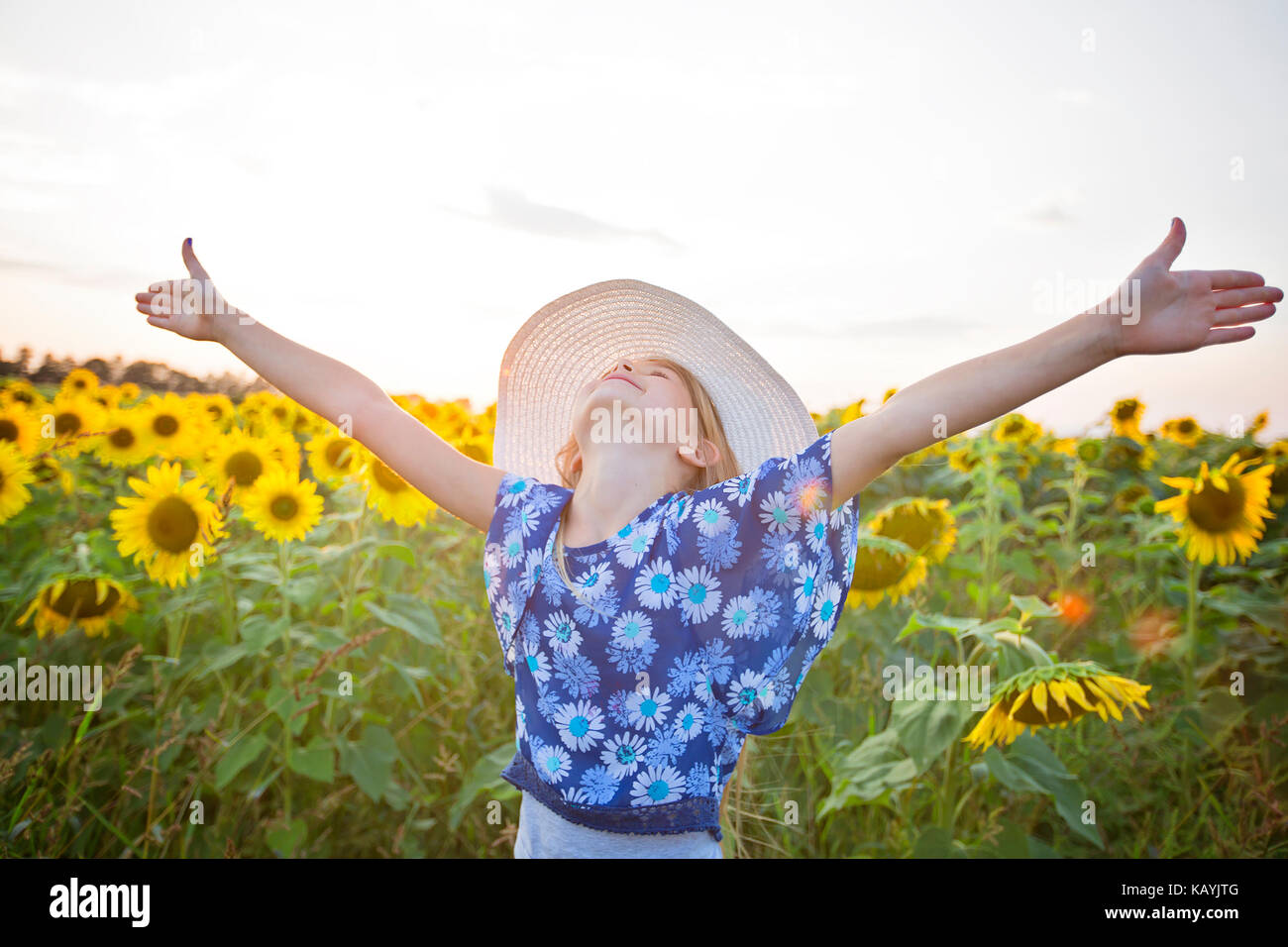 happy girl on a field of sunflowers on summer sunset Stock Photo - Alamy