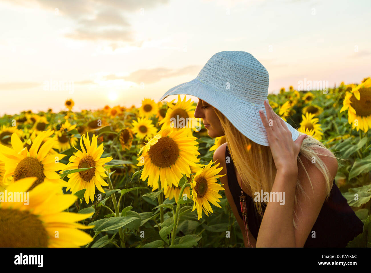 Woman with hat on sunflowers field at sunset Stock Photo