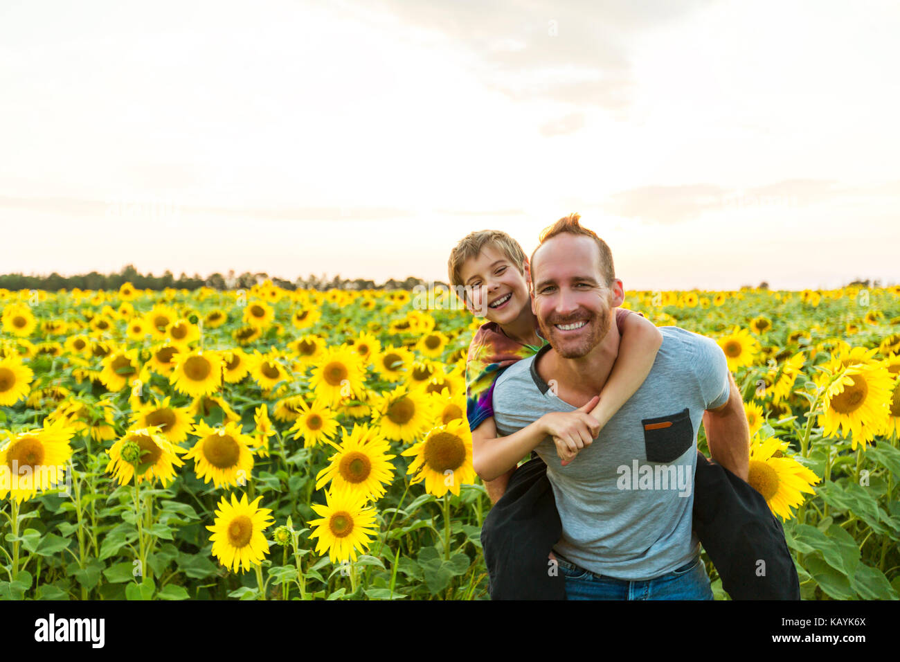 father with child in a field of blooming sunflowers , father's day ...