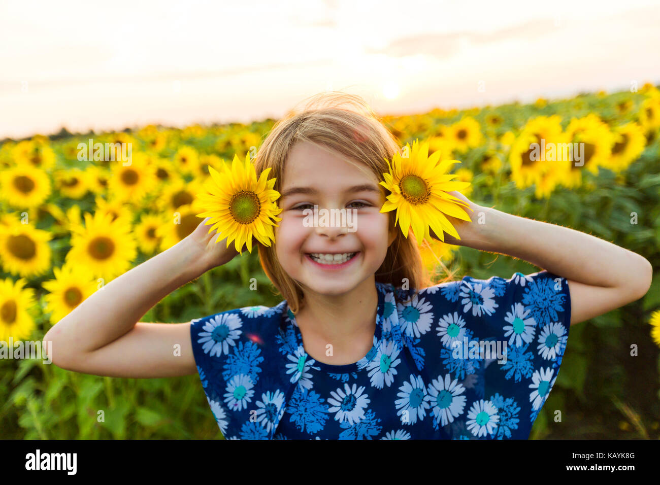 happy girl on a field of sunflowers on summer sunset Stock Photo - Alamy