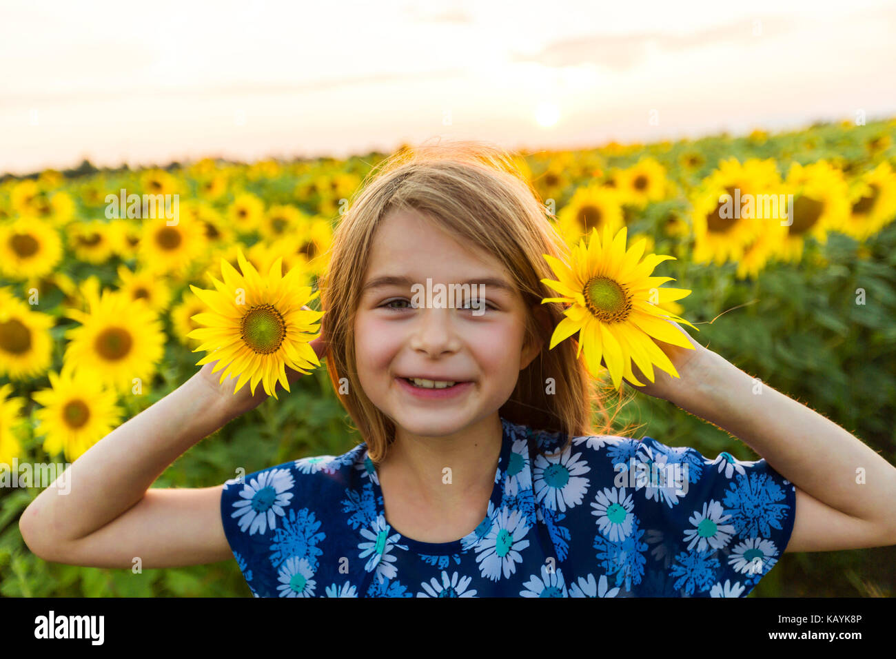 happy girl on a field of sunflowers on summer sunset Stock Photo - Alamy