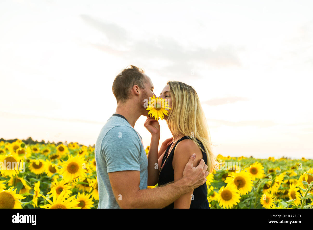 Beautiful couple having fun in sunflowers fields Stock Photo - Alamy