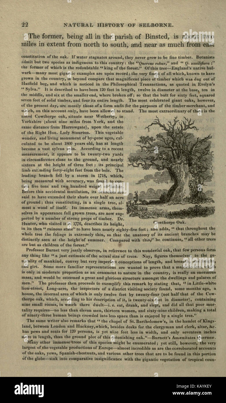 An Excerpt From The Natural History Of Selborne A Book By Gilbert