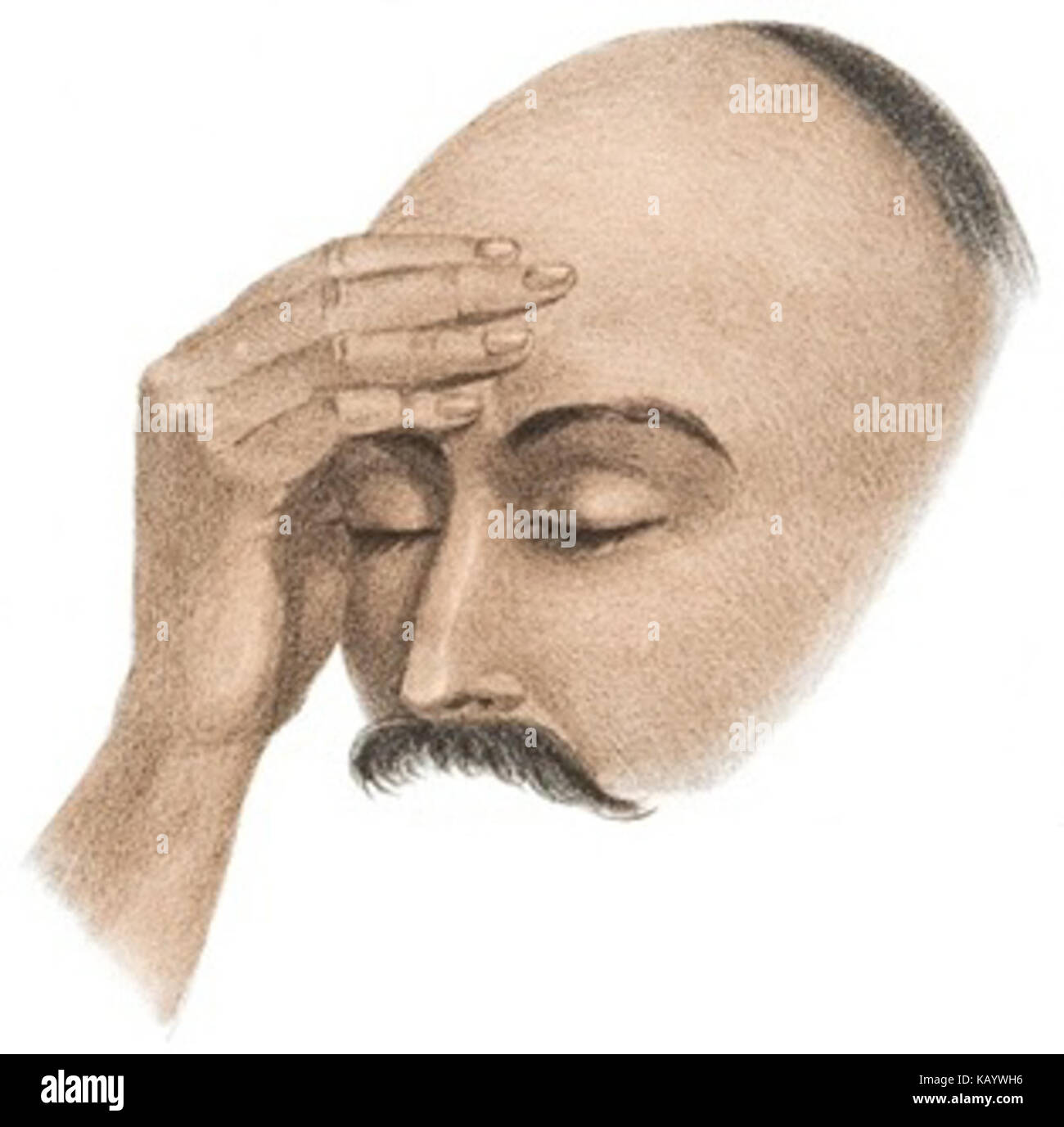 Sundhya The Sundhya Plate 19 Fig 3 Stock Photo - Alamy